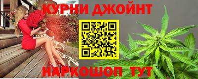 гидра Будённовск