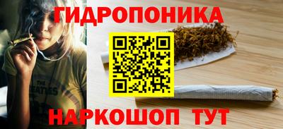 гидра Будённовск
