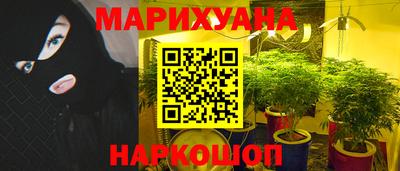 гидра Будённовск