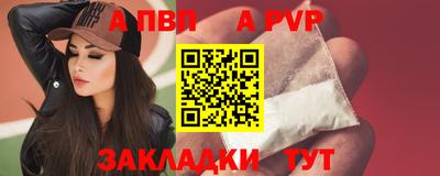гидра Будённовск