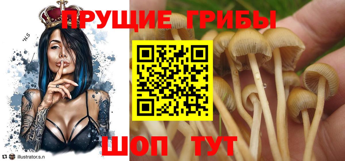 Псилоцибиновые грибы ЛСД  Вход с VPN  Беслан 